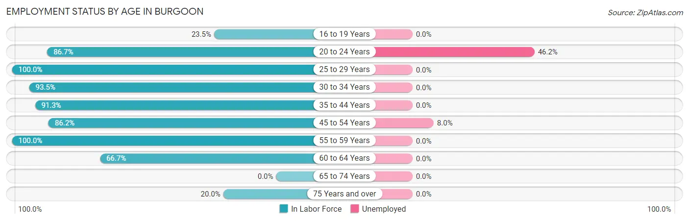 Employment Status by Age in Burgoon