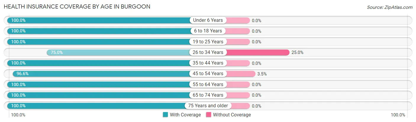 Health Insurance Coverage by Age in Burgoon