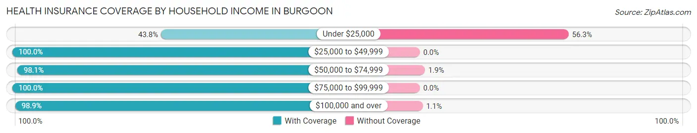 Health Insurance Coverage by Household Income in Burgoon