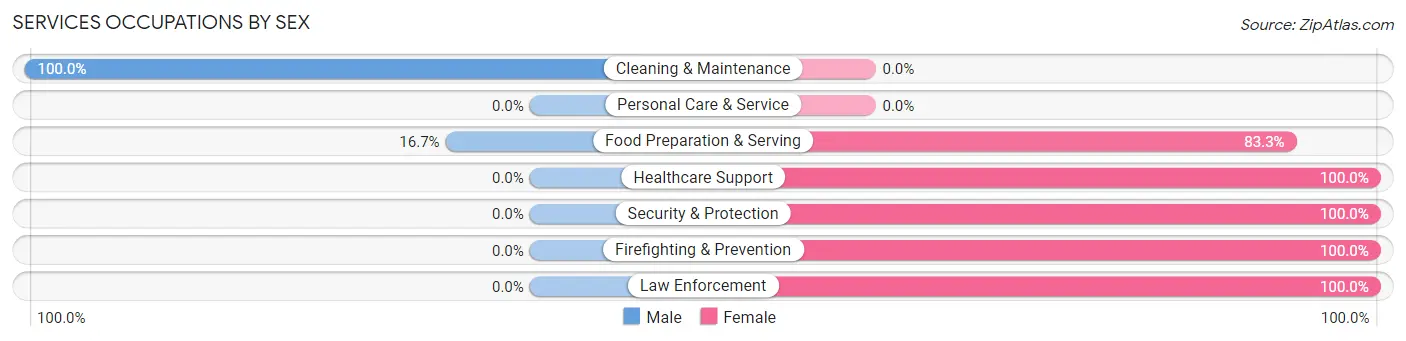 Services Occupations by Sex in Burgoon