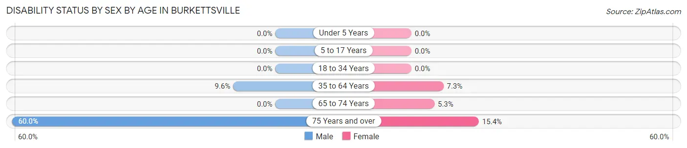 Disability Status by Sex by Age in Burkettsville