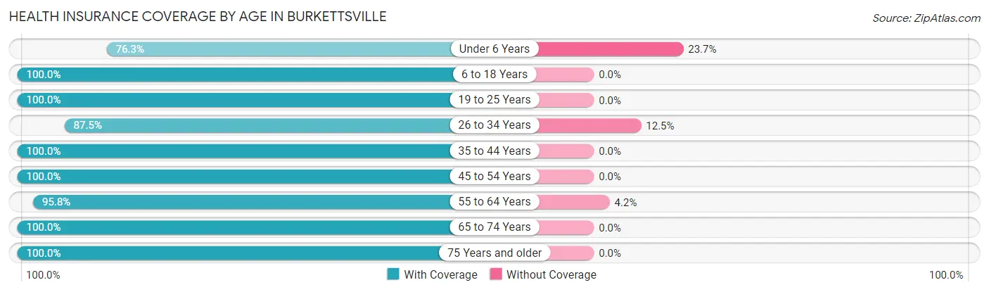 Health Insurance Coverage by Age in Burkettsville
