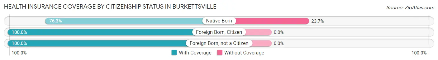 Health Insurance Coverage by Citizenship Status in Burkettsville