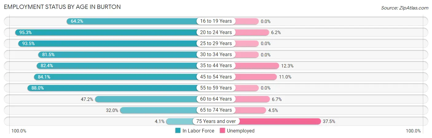 Employment Status by Age in Burton
