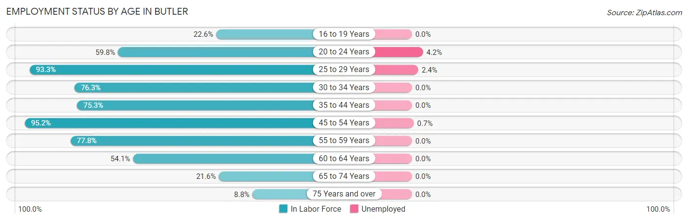 Employment Status by Age in Butler