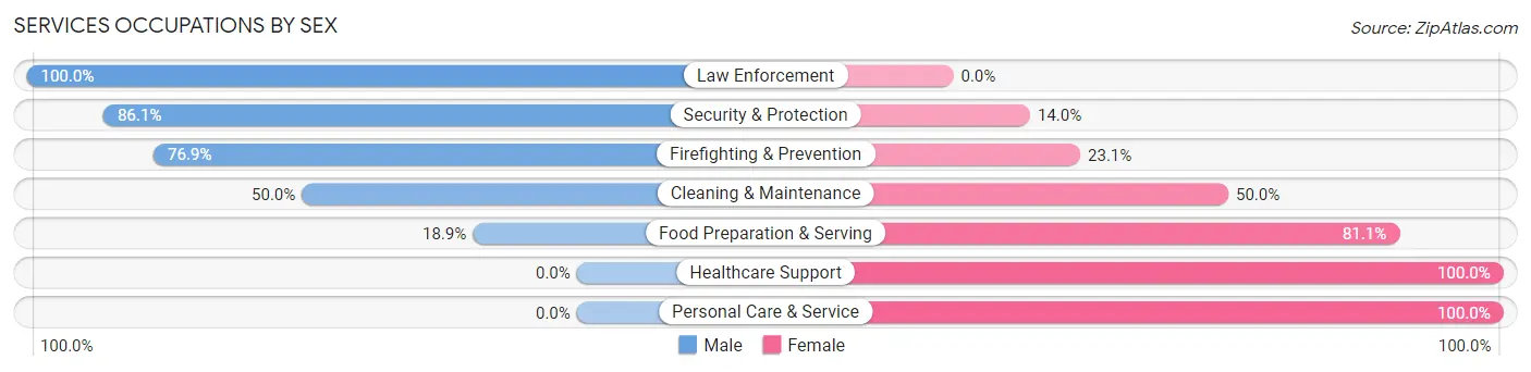 Services Occupations by Sex in Byesville