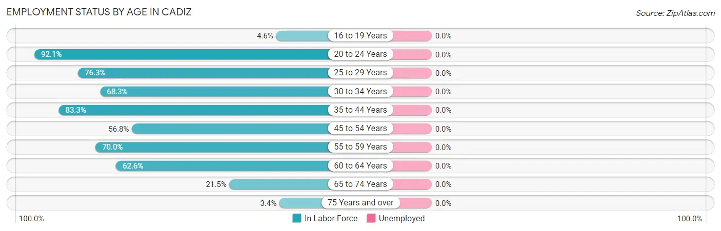 Employment Status by Age in Cadiz