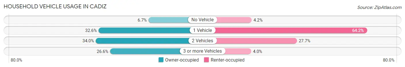 Household Vehicle Usage in Cadiz