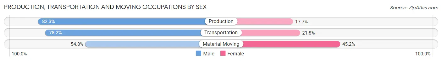 Production, Transportation and Moving Occupations by Sex in Cadiz