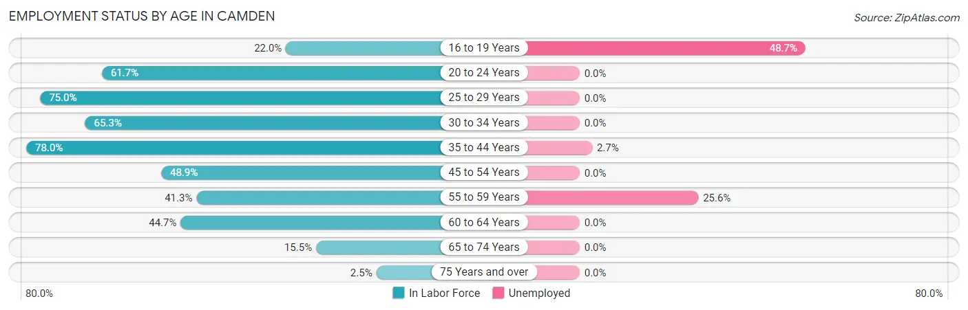 Employment Status by Age in Camden