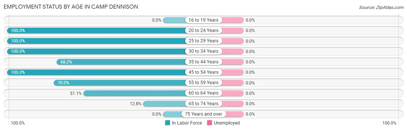 Employment Status by Age in Camp Dennison