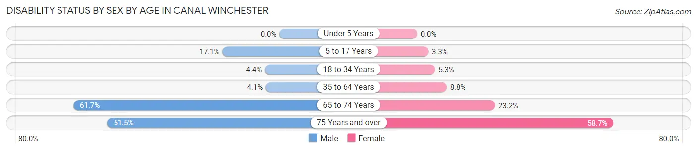 Disability Status by Sex by Age in Canal Winchester