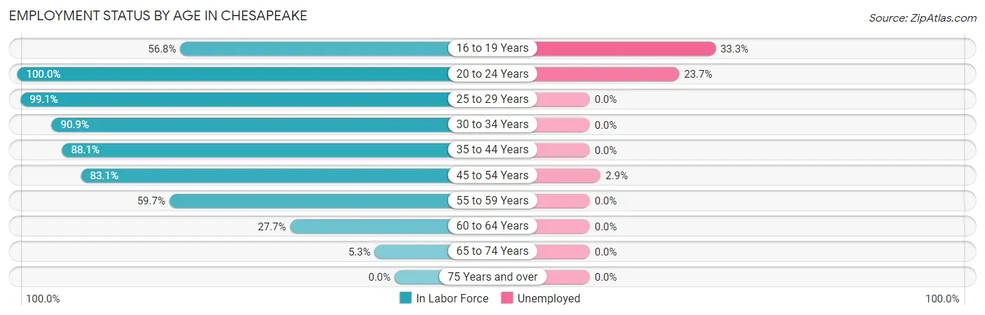Employment Status by Age in Chesapeake