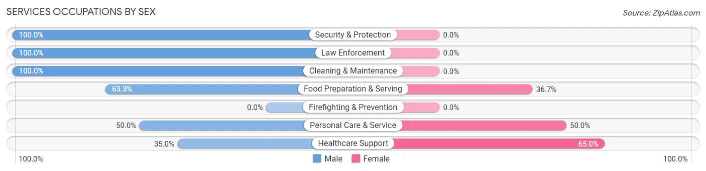 Services Occupations by Sex in Chesapeake