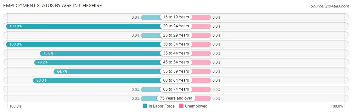 Employment Status by Age in Cheshire