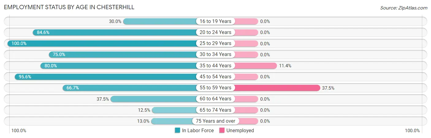 Employment Status by Age in Chesterhill