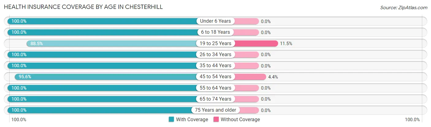 Health Insurance Coverage by Age in Chesterhill