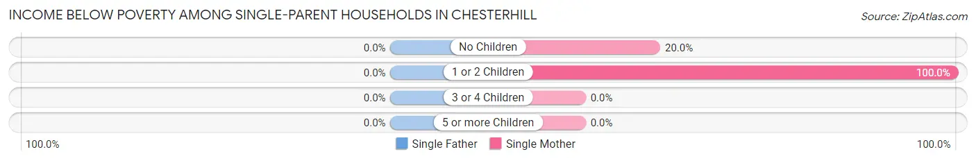 Income Below Poverty Among Single-Parent Households in Chesterhill