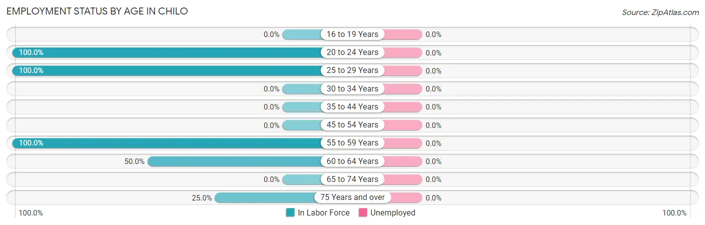 Employment Status by Age in Chilo