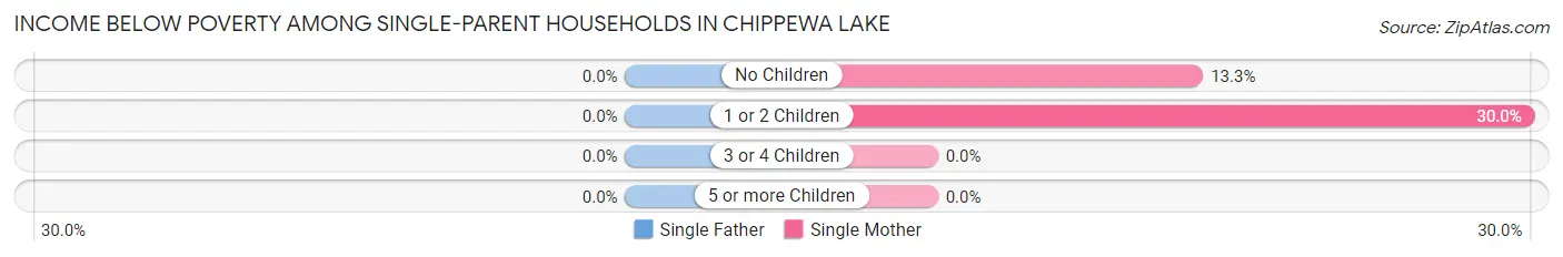 Income Below Poverty Among Single-Parent Households in Chippewa Lake