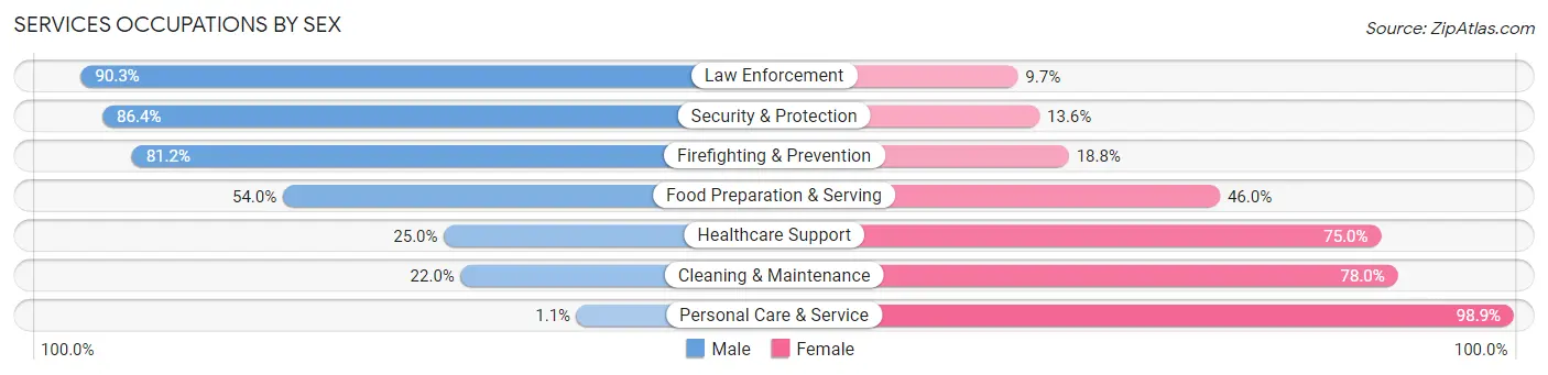 Services Occupations by Sex in Circleville