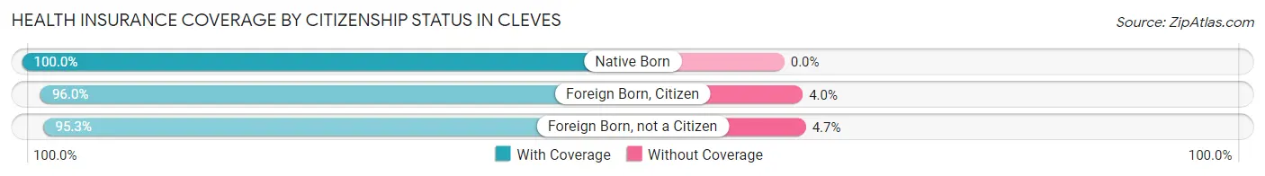 Health Insurance Coverage by Citizenship Status in Cleves
