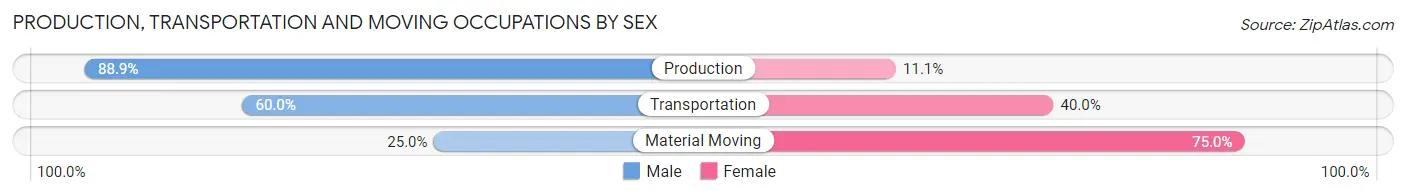 Production, Transportation and Moving Occupations by Sex in College Corner