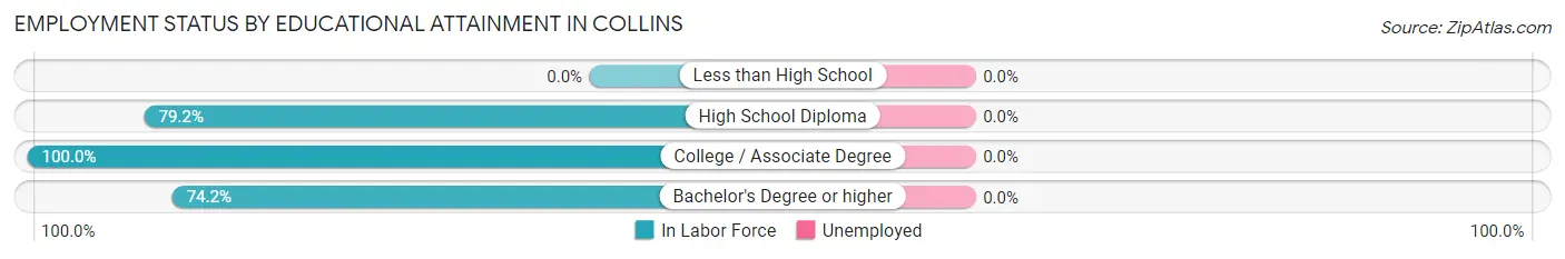 Employment Status by Educational Attainment in Collins