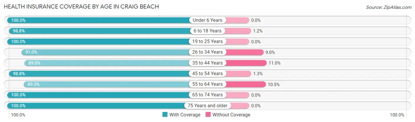 Health Insurance Coverage by Age in Craig Beach