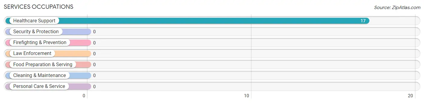 Services Occupations in Crown City