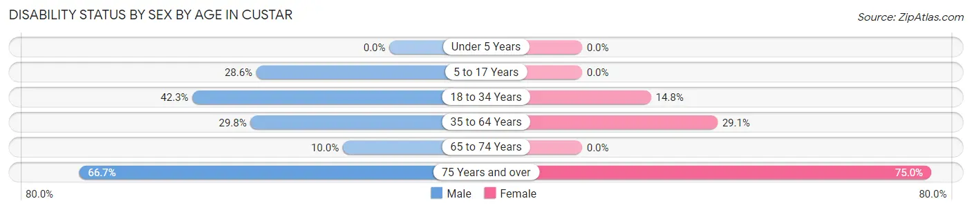 Disability Status by Sex by Age in Custar
