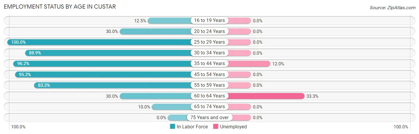 Employment Status by Age in Custar