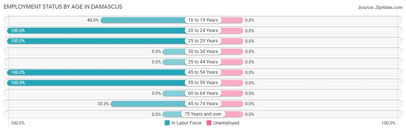 Employment Status by Age in Damascus