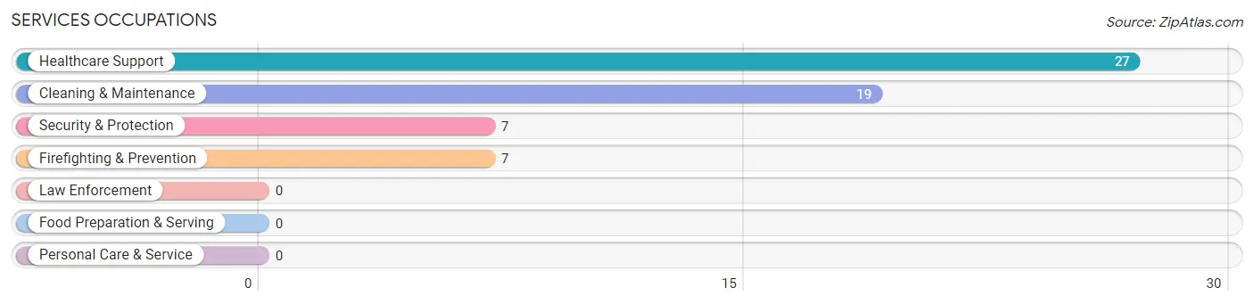 Services Occupations in Damascus