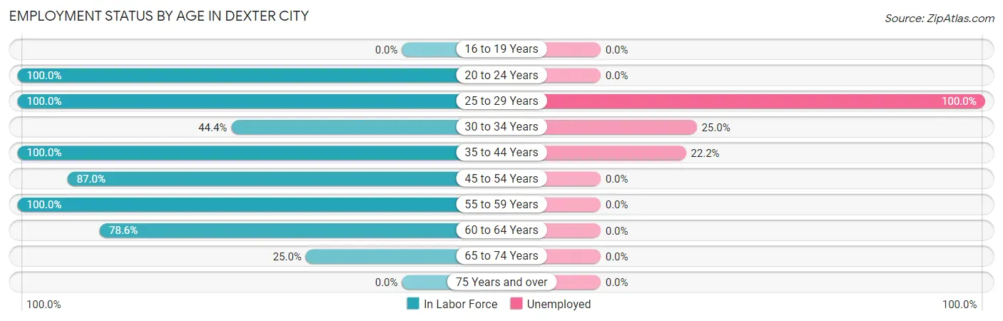 Employment Status by Age in Dexter City