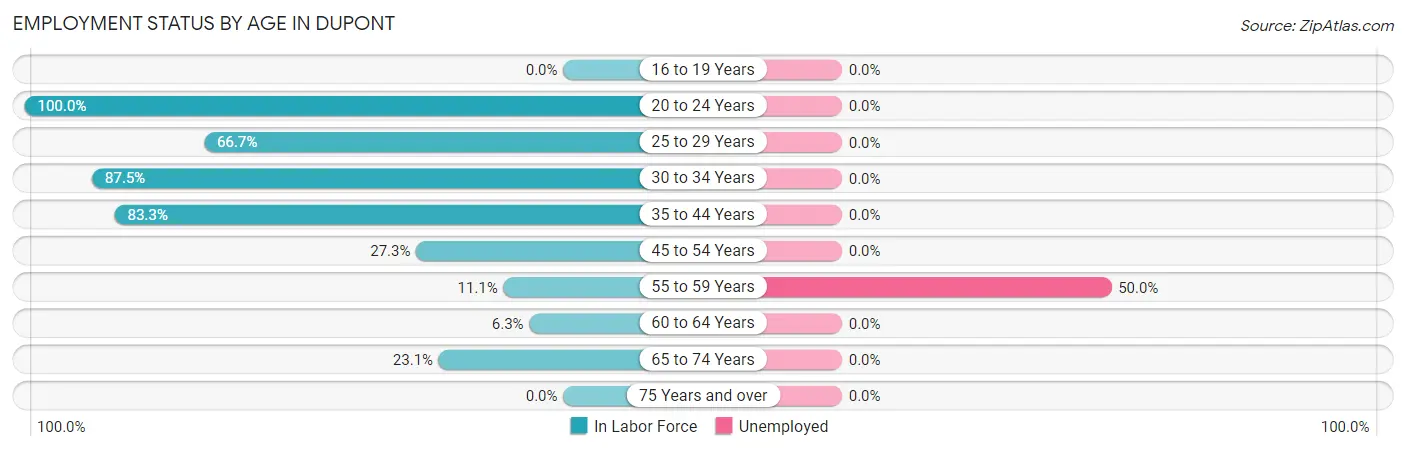 Employment Status by Age in Dupont