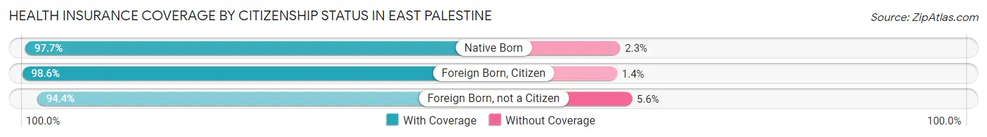 Health Insurance Coverage by Citizenship Status in East Palestine