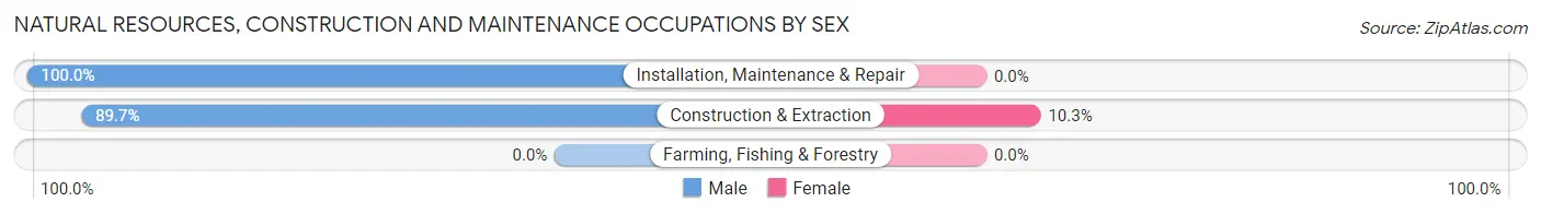 Natural Resources, Construction and Maintenance Occupations by Sex in East Palestine