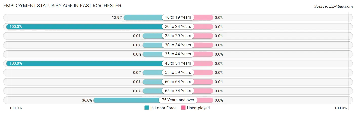 Employment Status by Age in East Rochester