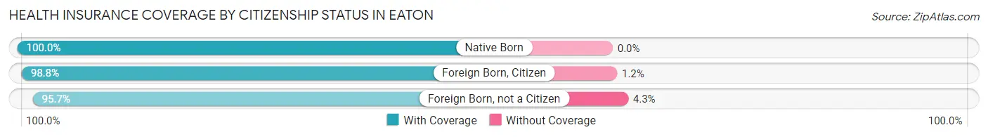 Health Insurance Coverage by Citizenship Status in Eaton