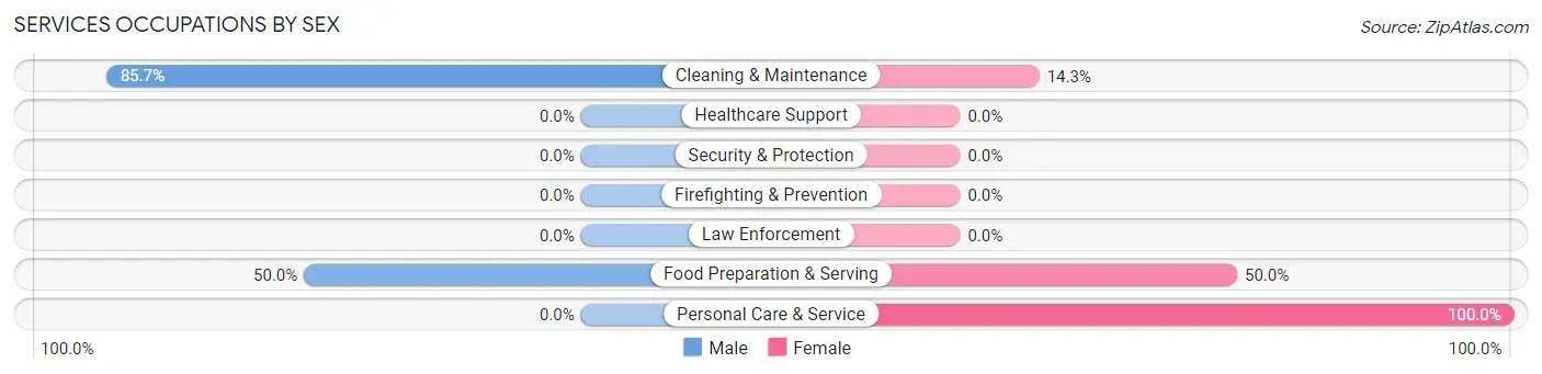 Services Occupations by Sex in Edison