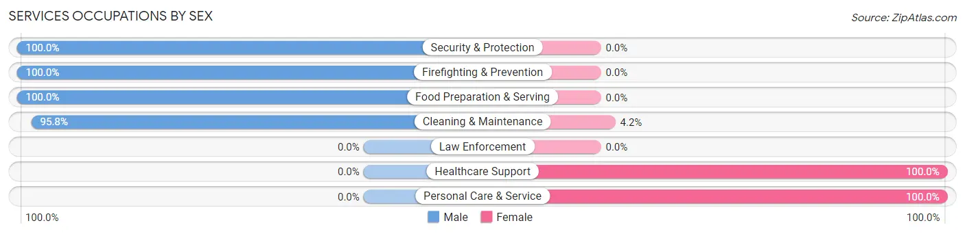Services Occupations by Sex in Elmore