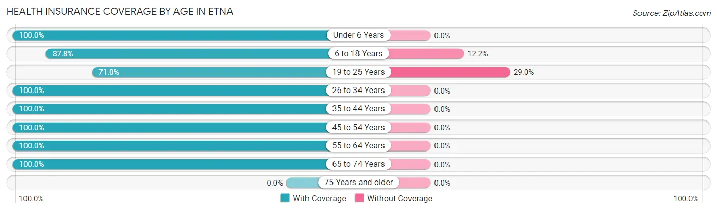 Health Insurance Coverage by Age in Etna