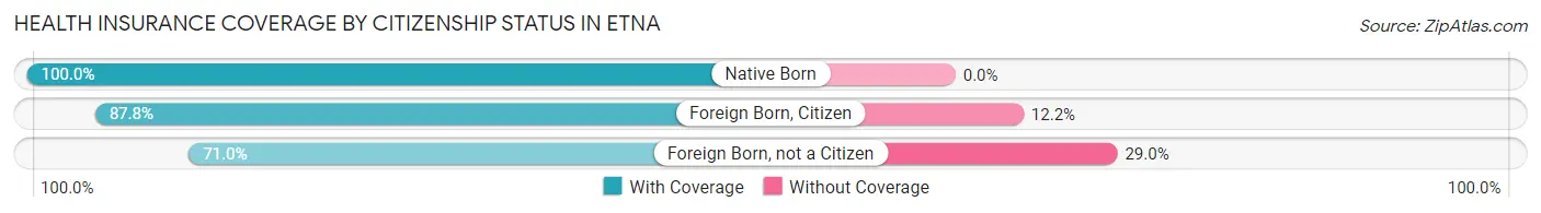 Health Insurance Coverage by Citizenship Status in Etna