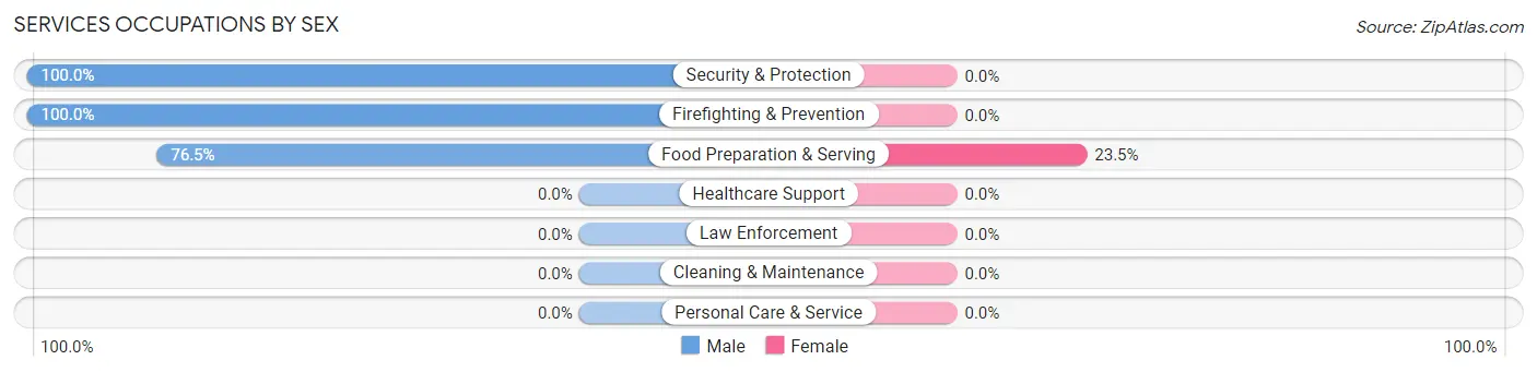Services Occupations by Sex in Etna
