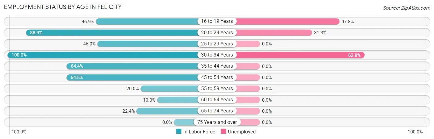 Employment Status by Age in Felicity