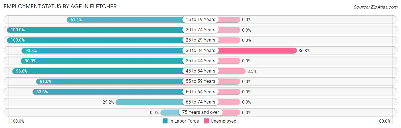 Employment Status by Age in Fletcher