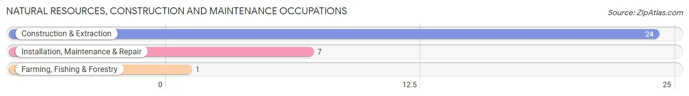 Natural Resources, Construction and Maintenance Occupations in Florida