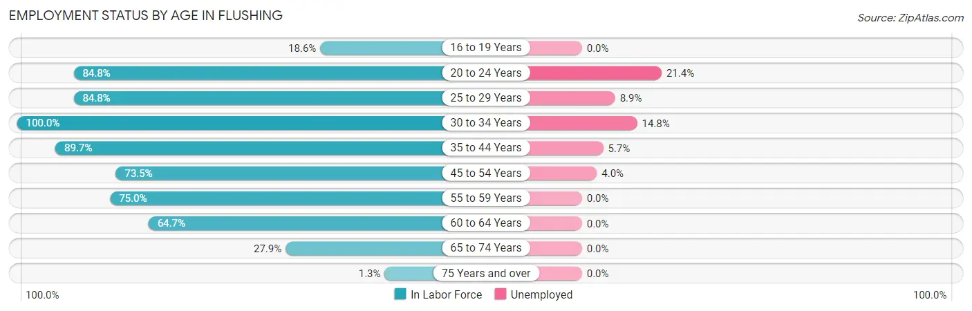 Employment Status by Age in Flushing