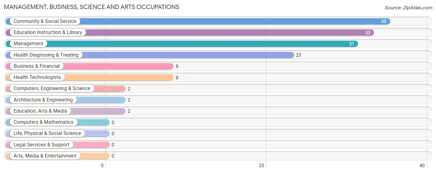 Management, Business, Science and Arts Occupations in Flushing